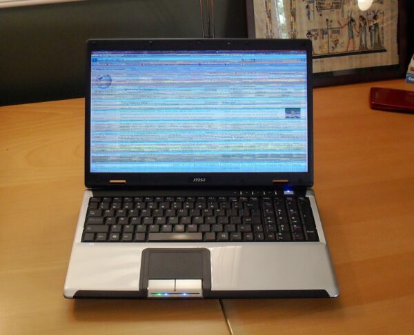 Màn hình laptop Toshiba C875 Giá Rẻ Tại Gò Vấp