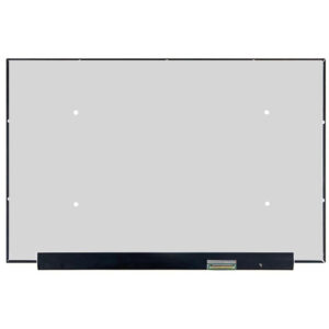 Màn Hình 16.0″ Led Slim Ko Viền Fhd+ (16:10) (Board Lòi, 30 Pin)