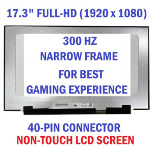 Màn Hình 17.3″ Led Slim 40p Fhd (300hz)